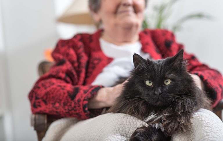 Do Cats Get More Affectionate With Age?