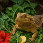 safe plants for bearded dragon