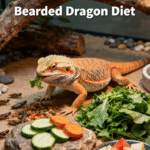 bearded dragon diet